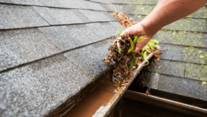 Yes, it is possible to let your gutters go for so long that plants start growing in them.