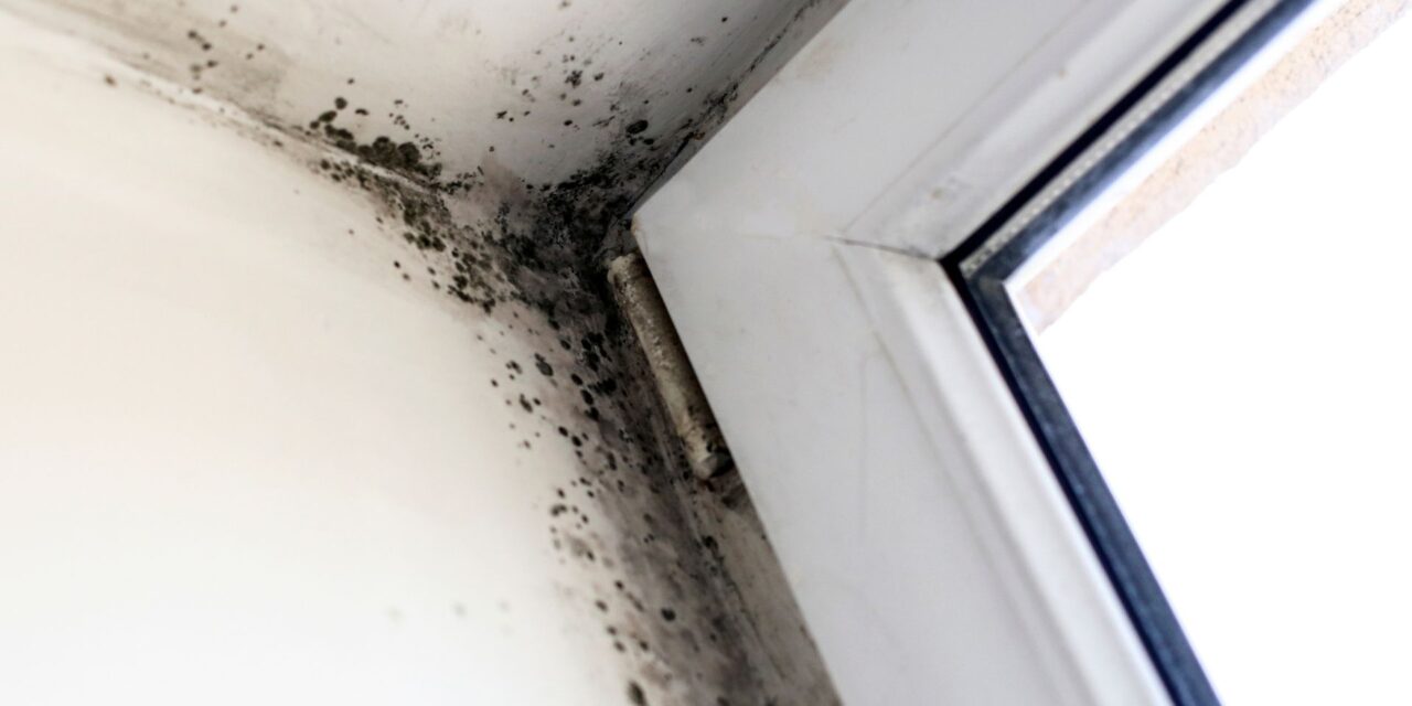 3 Sneaky Roof Problems that Make Inspections Necessary