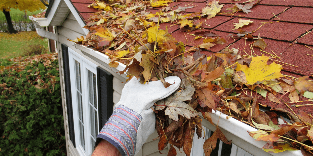 How to Clean Your Gutters Yourself in 5 Steps