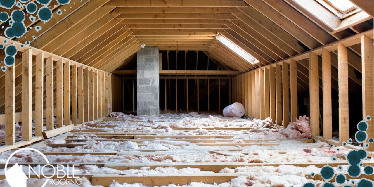 How Much Does Attic Mold Remediation Cost