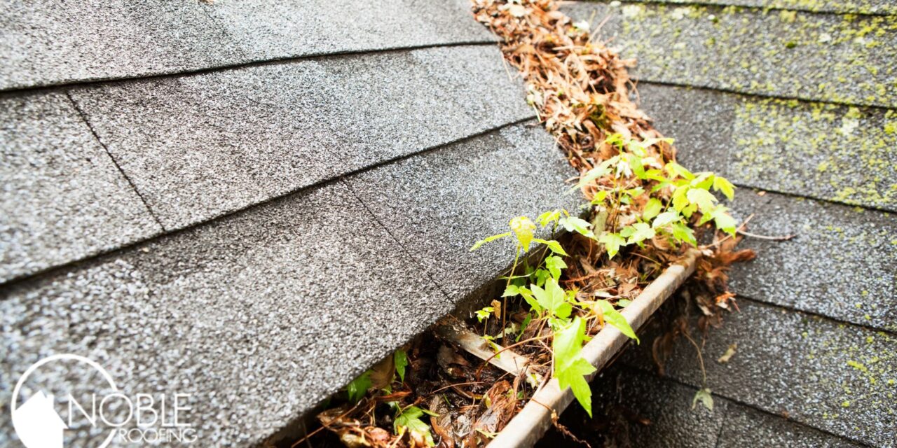 How Your Gutters Can Affect Your Home’s Foundation