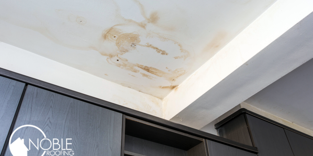Should You Fix a Small Roof Leak Before Winter?